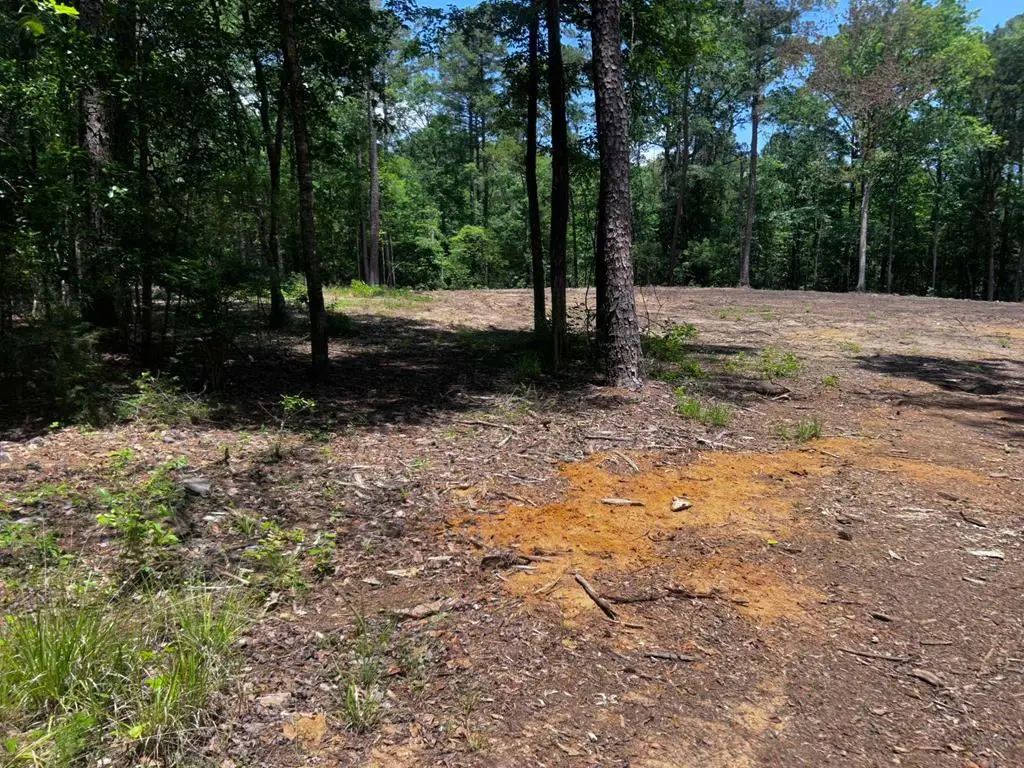 1779 County Road 54, Ozark, AL 36360 - #1