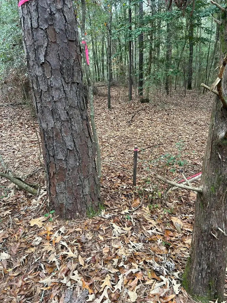 1779 County Road 54, Ozark, AL 36360 - #2