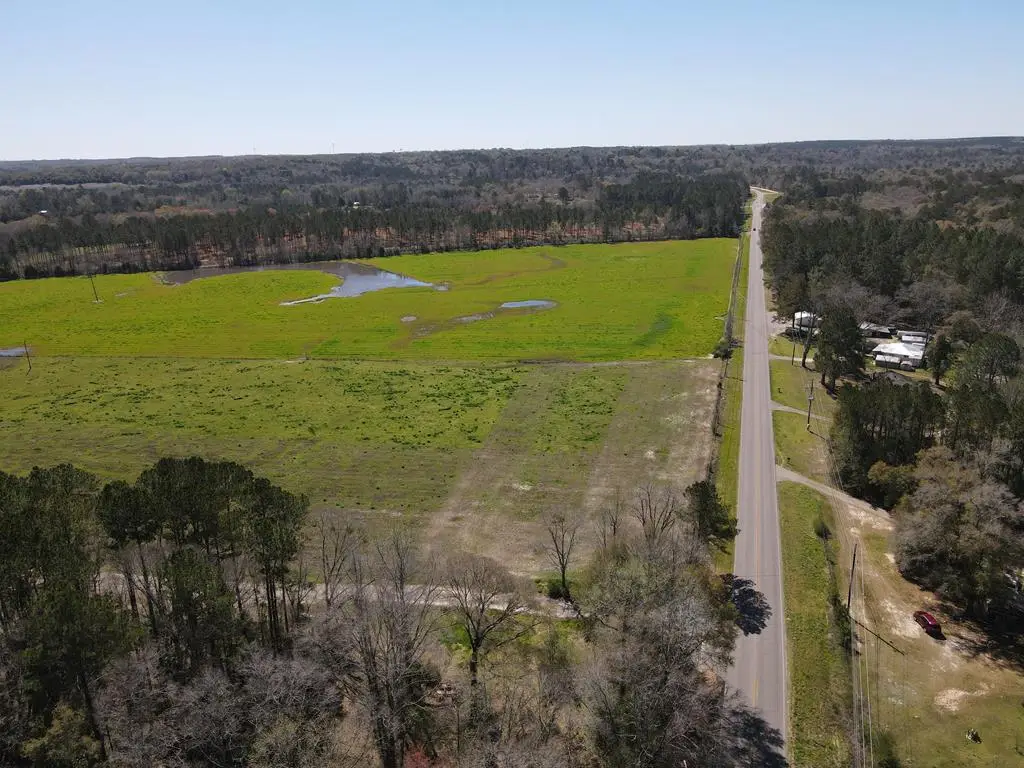 00 Hwy 123s, Newton, AL 36352 - #1