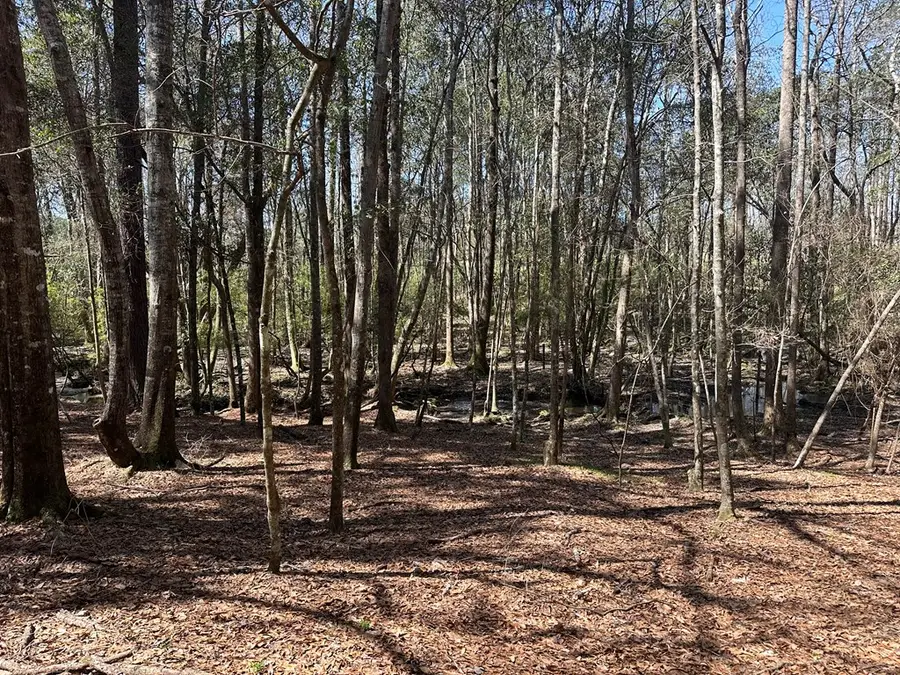 00 Hwy 123s, Newton, AL 36352 - #2