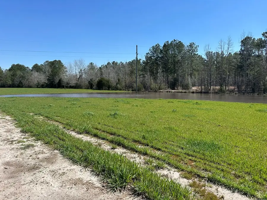 00 Hwy 123s, Newton, AL 36352 - #3