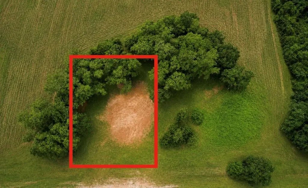 0 County Rd. 165, Headland, AL 36345 - #1