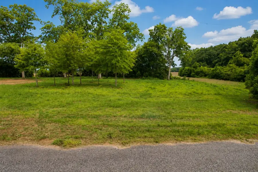 0 County Rd. 165, Headland, AL 36345 - #3