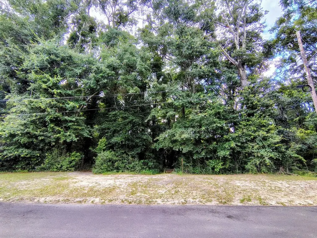 000 Baker Avenue, Geneva, AL 36340 - #1
