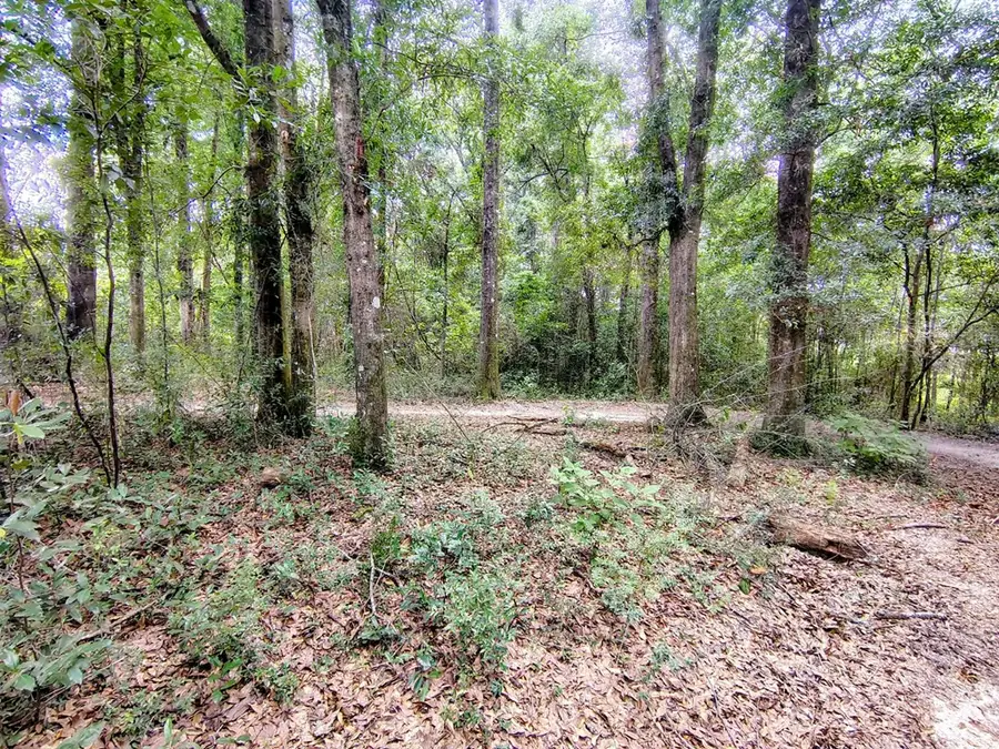 000 Baker Avenue, Geneva, AL 36340 - #2