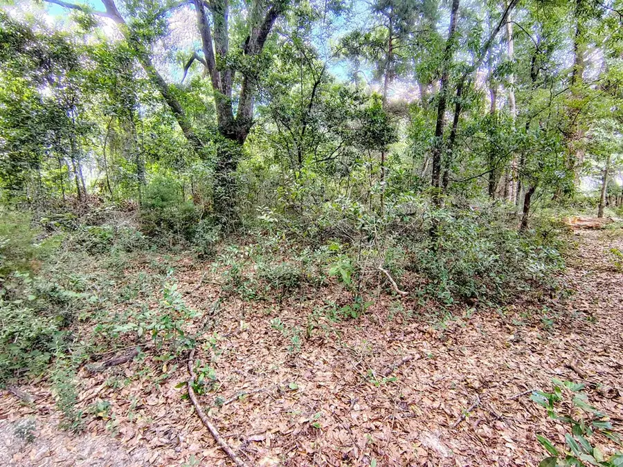 000 Baker Avenue, Geneva, AL 36340 - #3