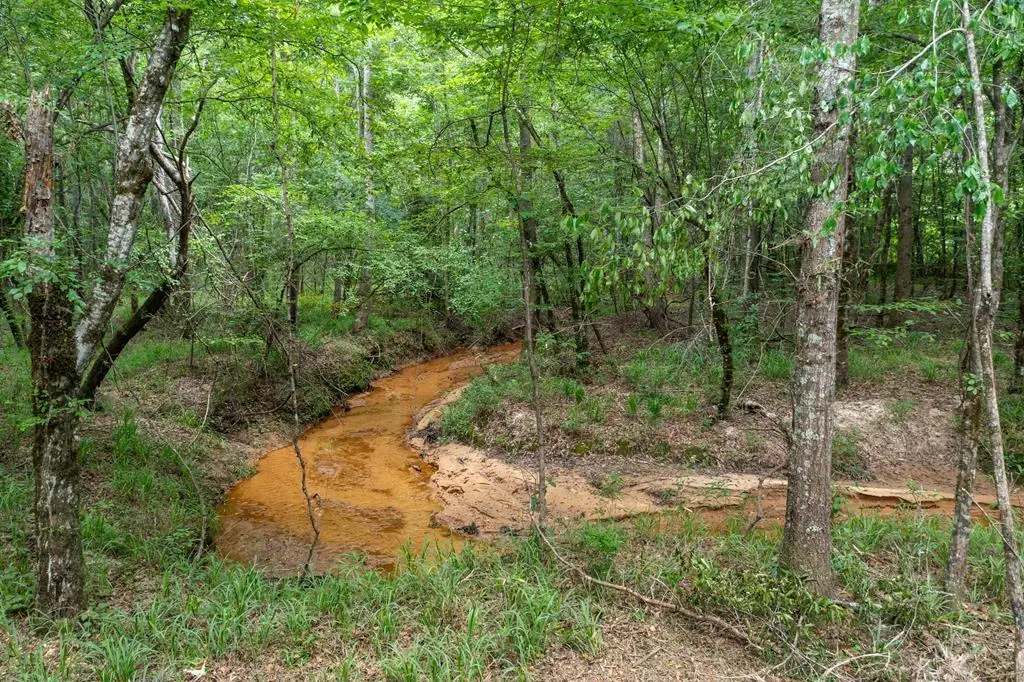 3 Comers Pond Rd, Pittsview, AL 36871 - #1