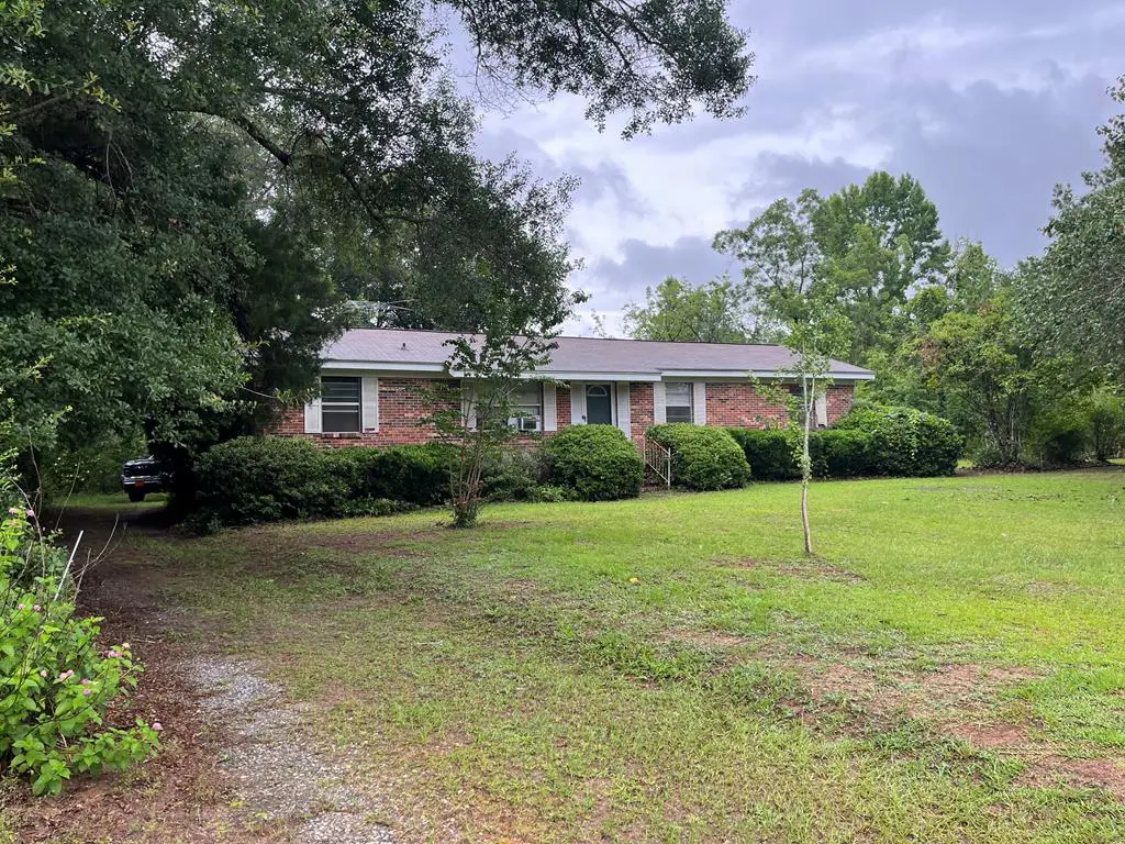 11802 Highway 370, Blakely, GA 39823 - #1