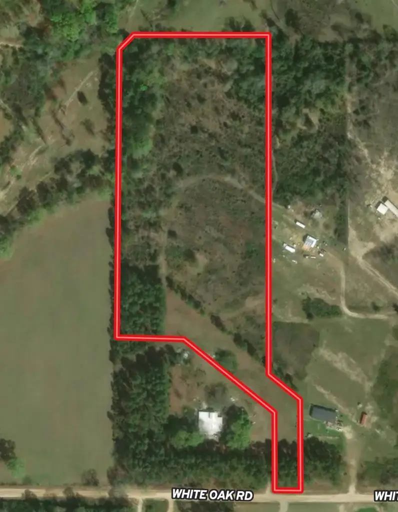 10 acres White Oak Rd, Slocomb, AL 36375 - #1
