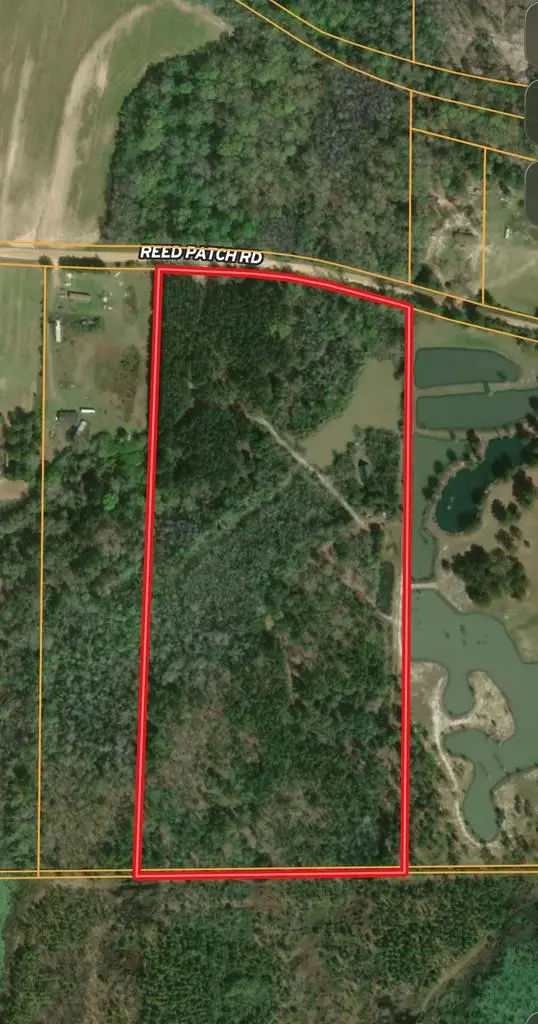 26 acres Reed Patch Rd, Black, AL 36314 - #1