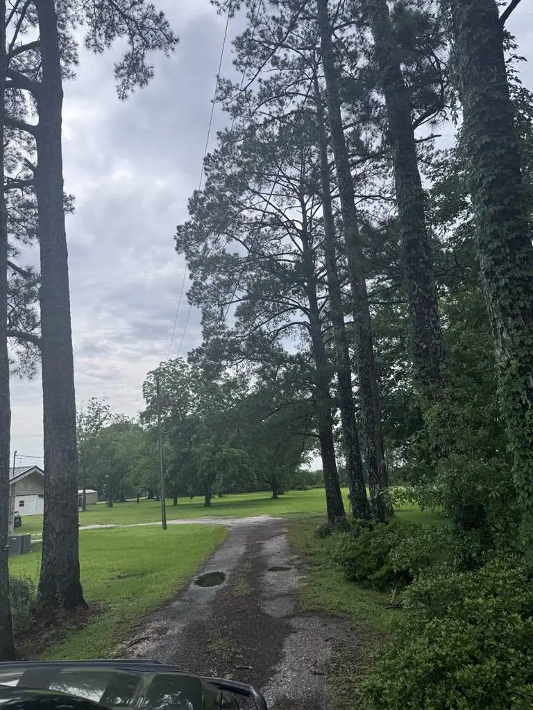 1329 N St Hwy 103, Slocomb, AL 36375 - #3