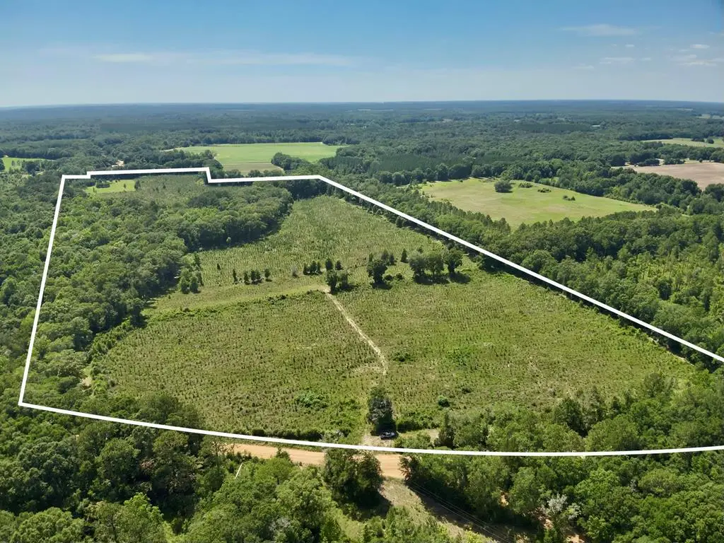 60 Acres Hutton Road, Hartford, AL 36344 - #1