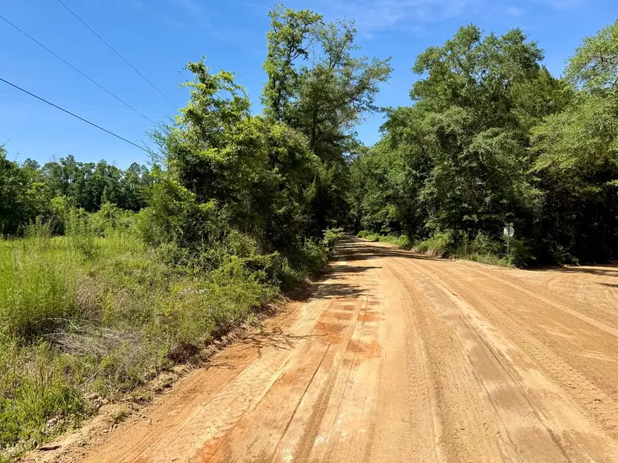60 Acres Hutton Road, Hartford, AL 36344 - #2