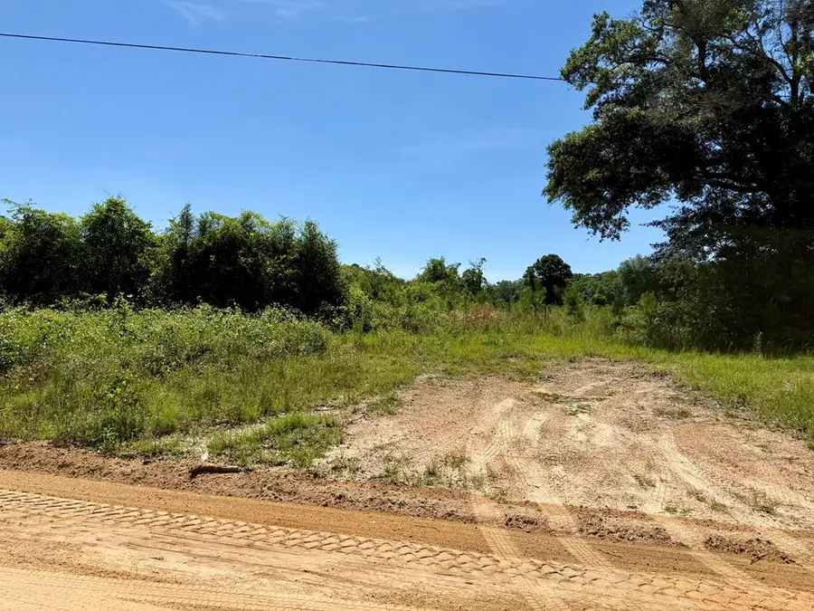 60 Acres Hutton Road, Hartford, AL 36344 - #3