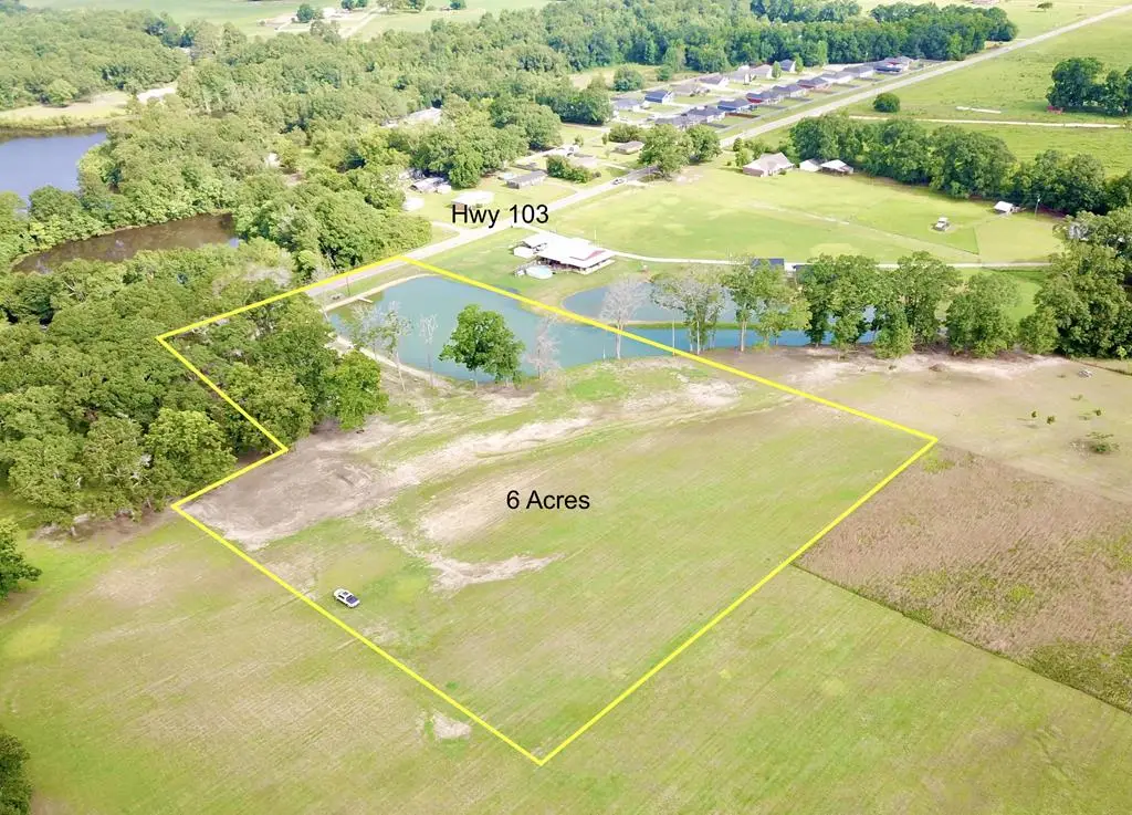 6 Acres Hwy 103, Slocomb, AL 36375 - #1