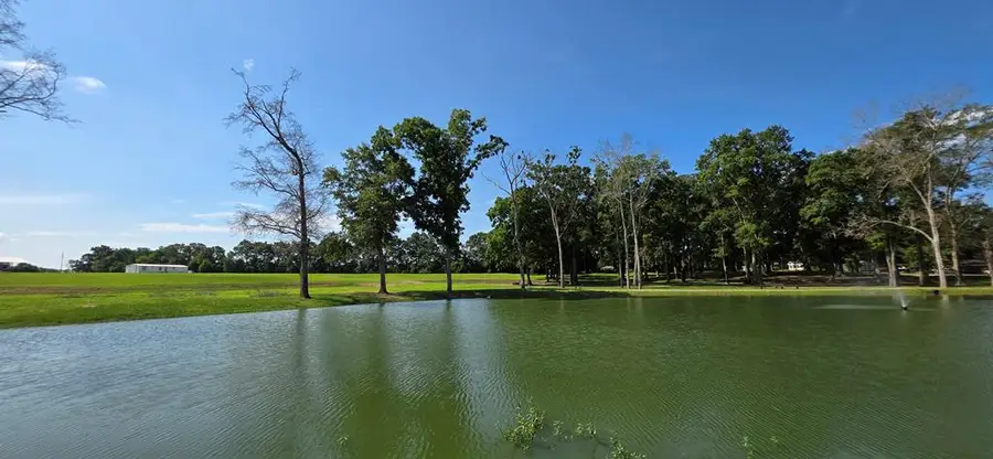 6 Acres Hwy 103, Slocomb, AL 36375 - #3