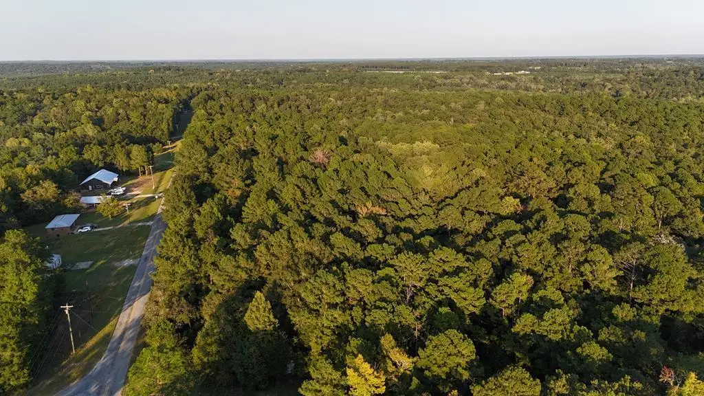 10340 County Road 54, Skipperville, AL 36374 - #1