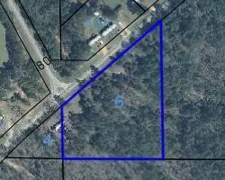 10340 County Road 54, Skipperville, AL 36374 - #2