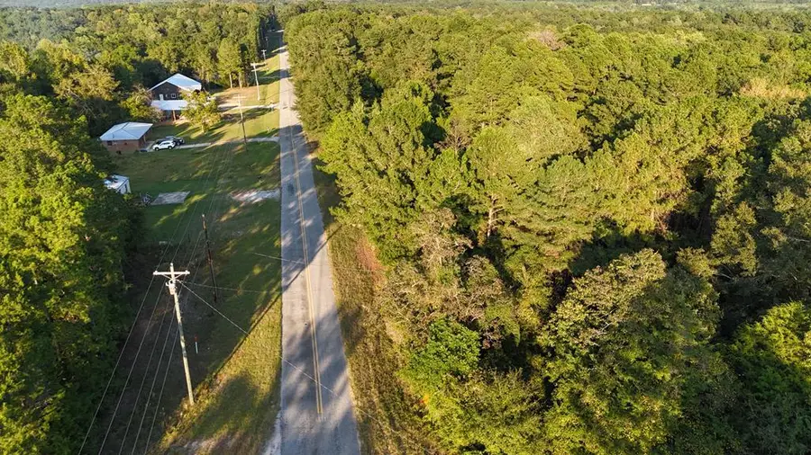 10340 County Road 54, Skipperville, AL 36374 - #3