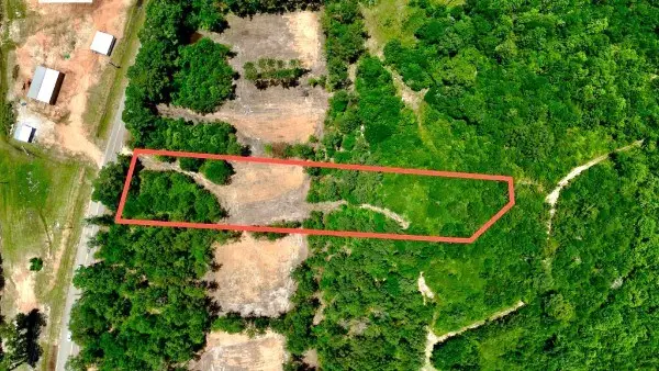 2 +/- Acres Airport Rd (lot 3), Andalusia, AL 36421 - #2