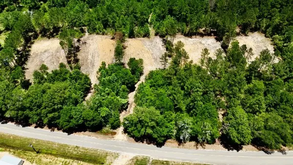 2 +/- Acres Airport Rd (lot 3), Andalusia, AL 36421 - #3