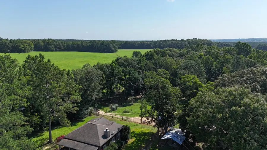 176 Shelley Jackson Spur, Clio, AL 36017 - #2