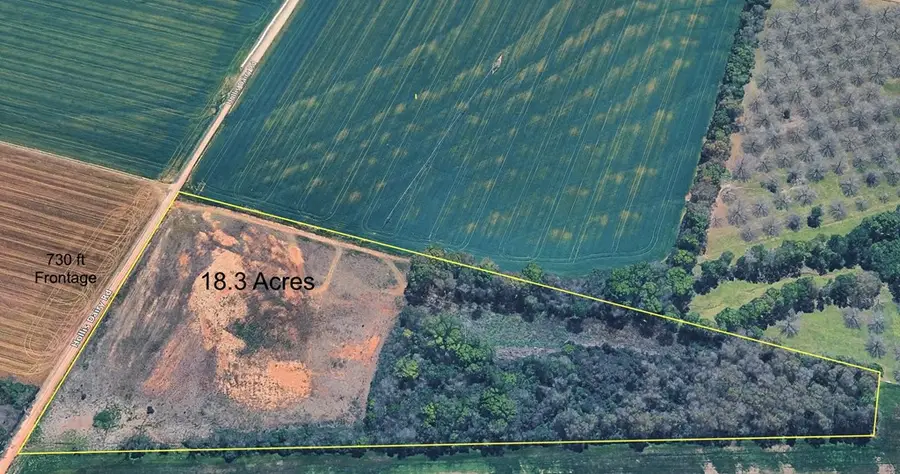 18.3 Acres Hollis Dairy Road, Newton, AL 36352 - #2