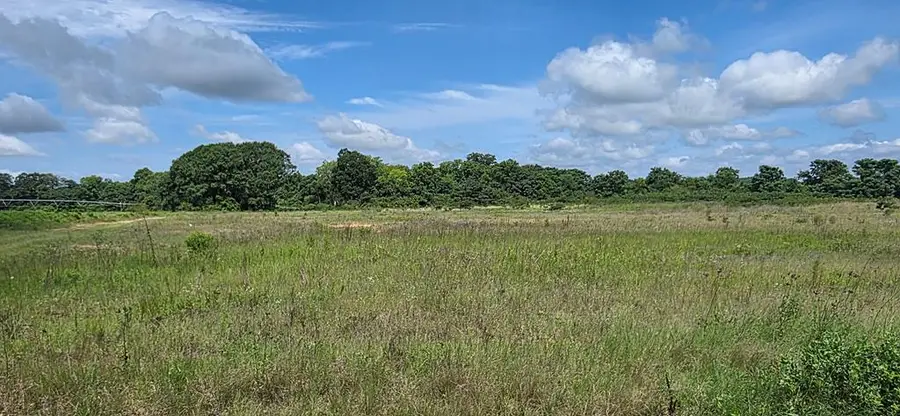 18.3 Acres Hollis Dairy Road, Newton, AL 36352 - #3