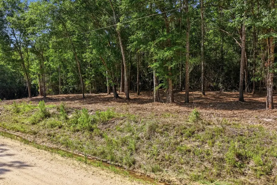 Lot #1 Crosby Clark Road, Opp, AL 36467 - #2