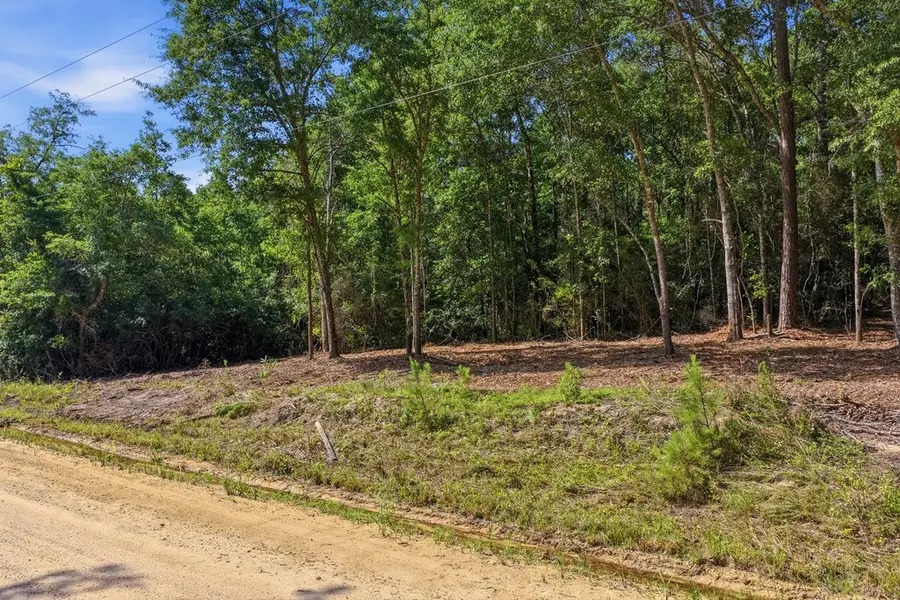 Lot #1 Crosby Clark Road, Opp, AL 36467 - #3