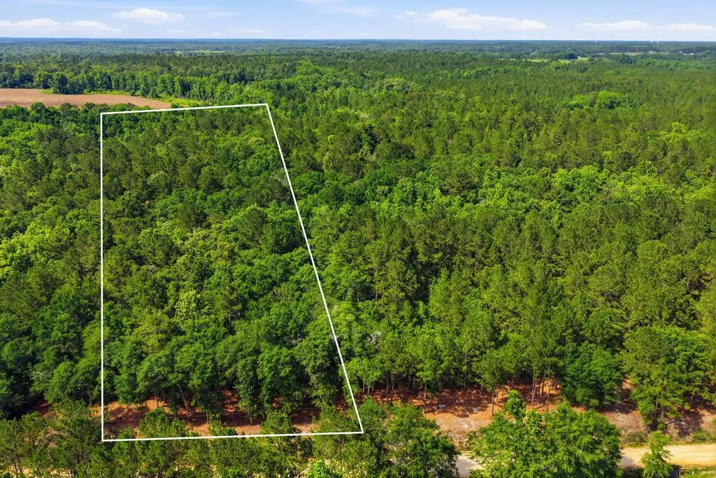 Lot #2 Crosby Clark Road, Opp, AL 36467 - #1