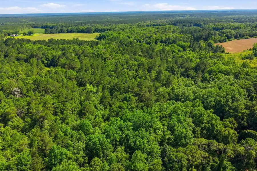 Lot #2 Crosby Clark Road, Opp, AL 36467 - #2