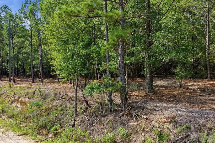 Lot #2 Crosby Clark Road, Opp, AL 36467 - #3