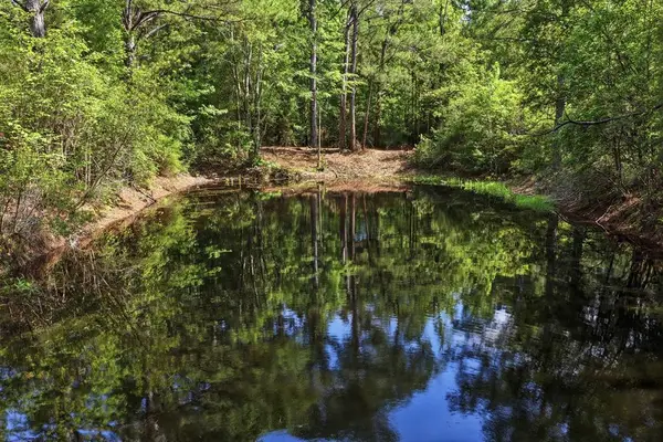 Lot #3 Crosby Clark Road, Opp, AL 36467