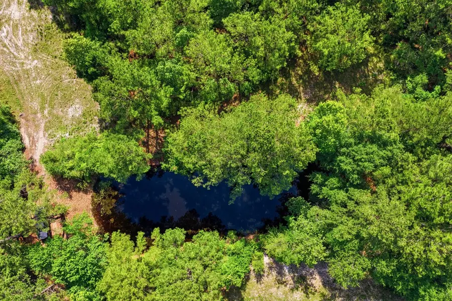 Lot #3 Crosby Clark Road, Opp, AL 36467 - #2