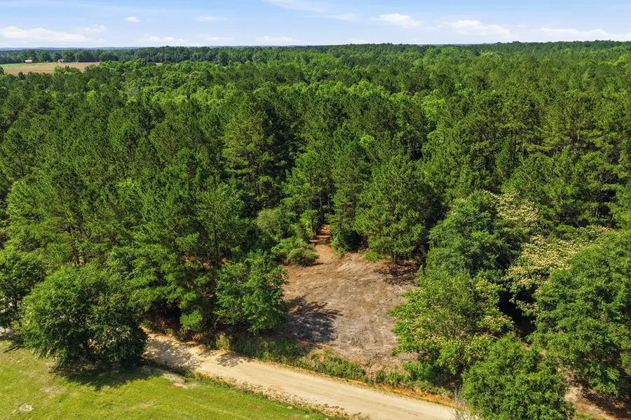 Lot #3 Crosby Clark Road, Opp, AL 36467 - #3