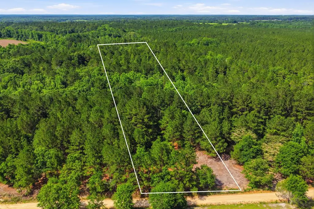 Lot #4 Crosby Clark Road, Opp, AL 36467 - #1