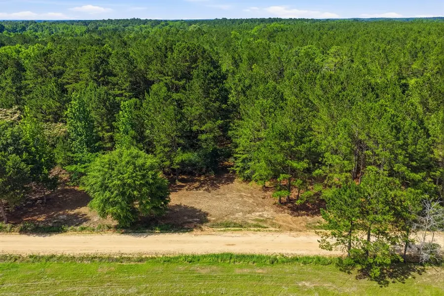 Lot #4 Crosby Clark Road, Opp, AL 36467 - #2
