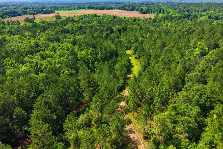 Lot #4 Crosby Clark Road, Opp, AL 36467 - #3