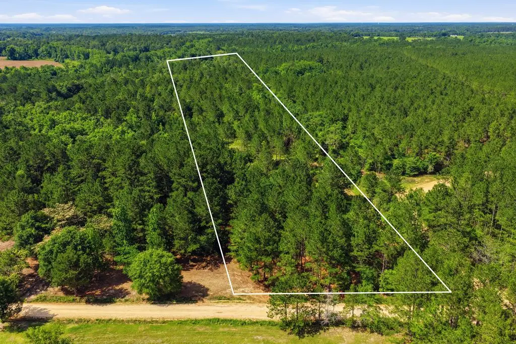 Lot #5 Crosby Clark Road, Opp, AL 36467 - #1