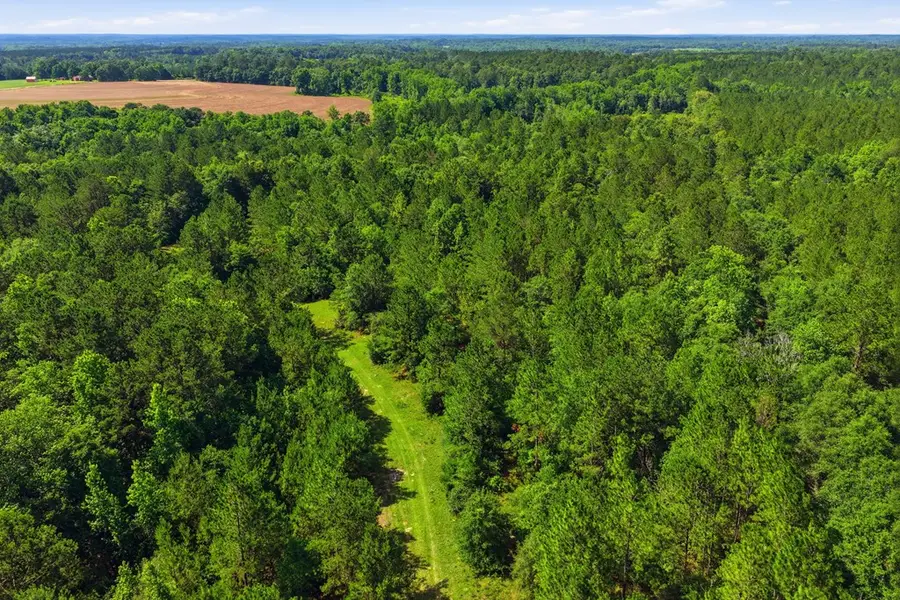 Lot #5 Crosby Clark Road, Opp, AL 36467 - #2