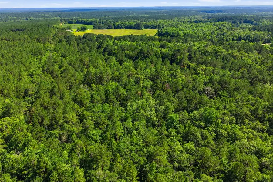 Lot #5 Crosby Clark Road, Opp, AL 36467 - #3
