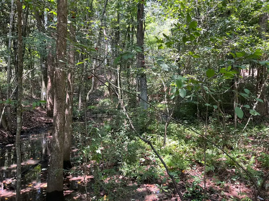 TBD State Highway 134 East, Headland, AL 36345 - #3