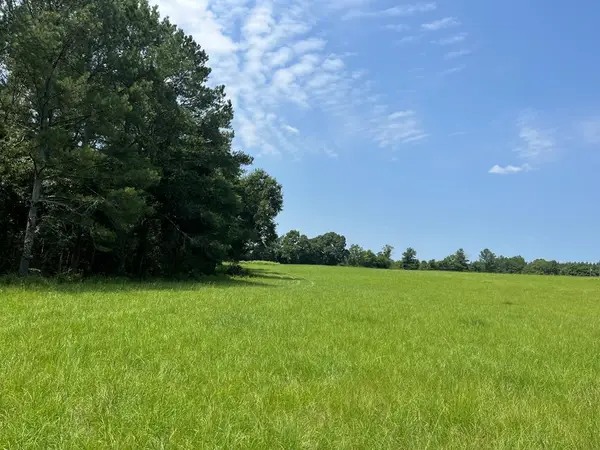 TBD County Road 45, Headland, AL 36345