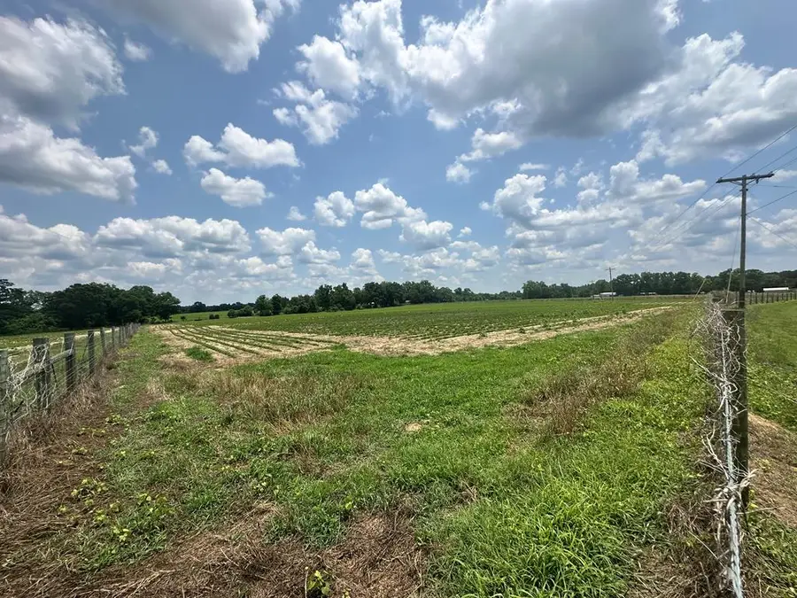 13 Acres Lot 7 J Saunders, Dothan, AL 36305 - #2