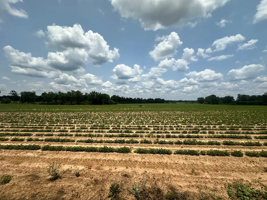 12 Acres J Saunders, Dothan, AL 36305 - #3