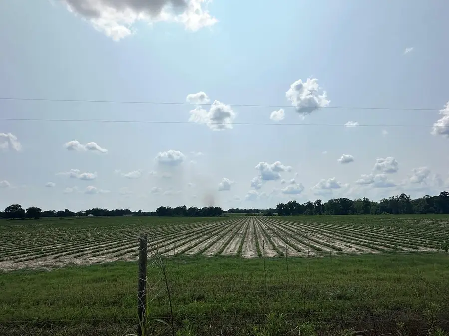 20 Acres Fondren Rd, Slocomb, AL 36375 - #2