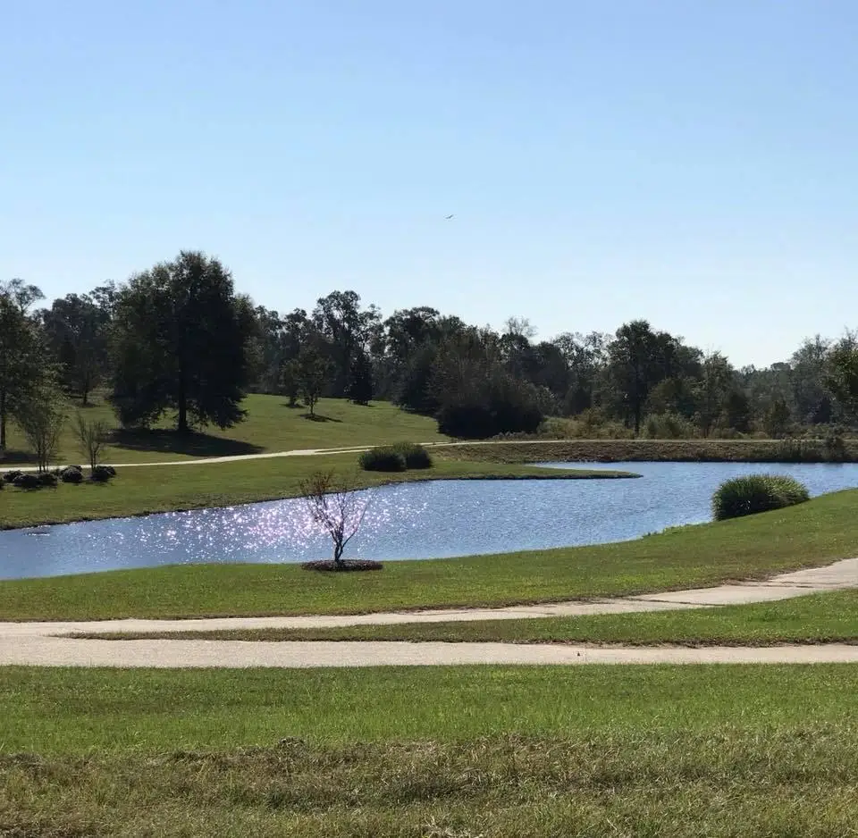 119 Weeping Willow Trail, Headland, AL 36345 - #1