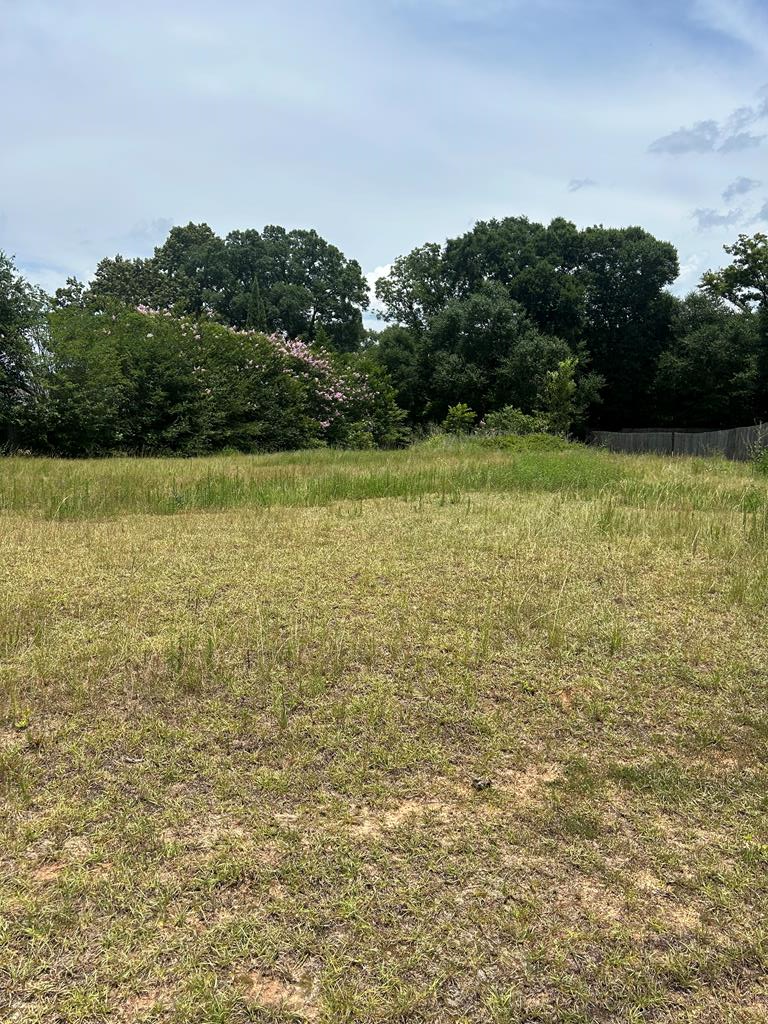 300 Rosa Lane, Midland City, AL 36350 - #1