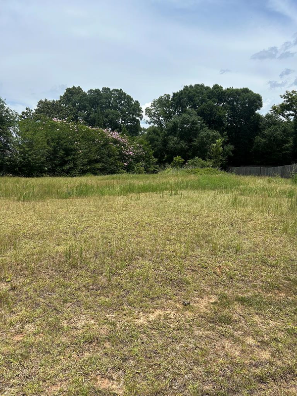 300 Rosa Lane, Midland City, AL 36350